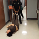 Deputy Christopher Johnson dragging Dasyl Rios
Screenshot NYDN